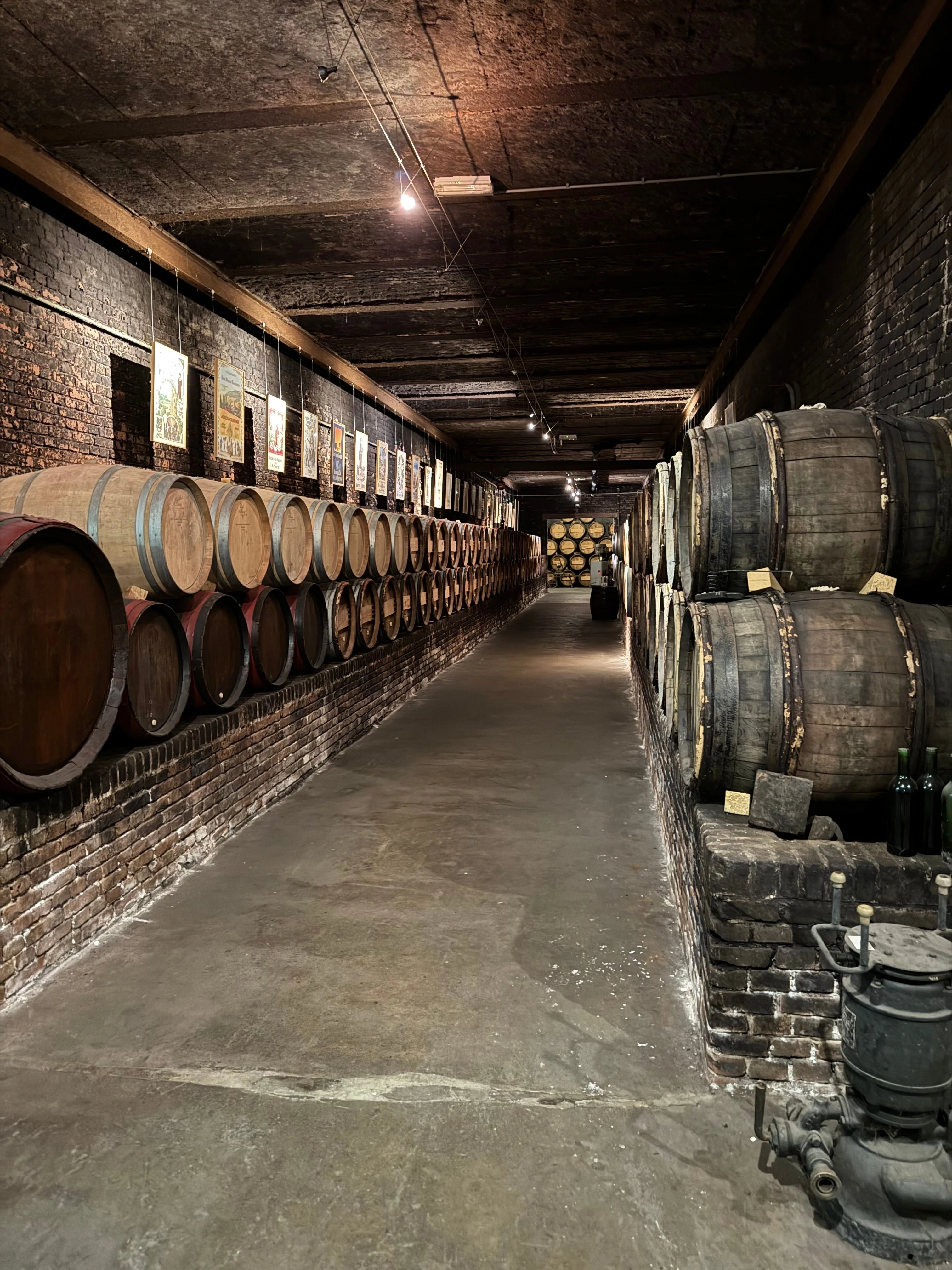 Wine cellar detail